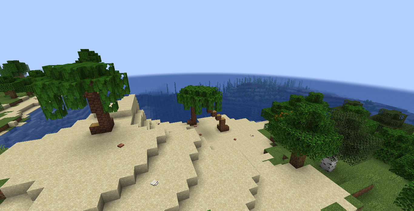 This is a beach