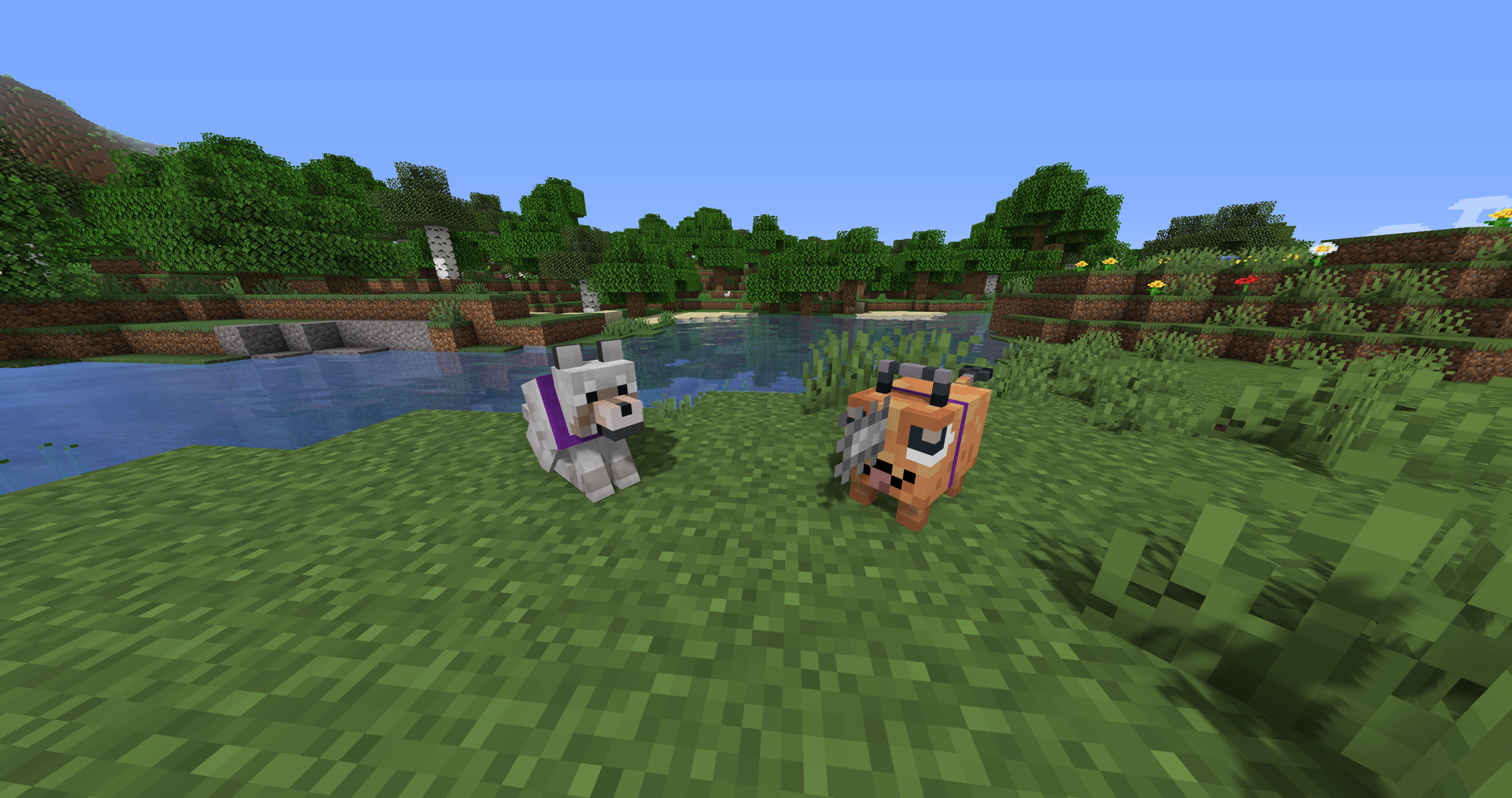 Shiny's Pochitas — screenshot 1
