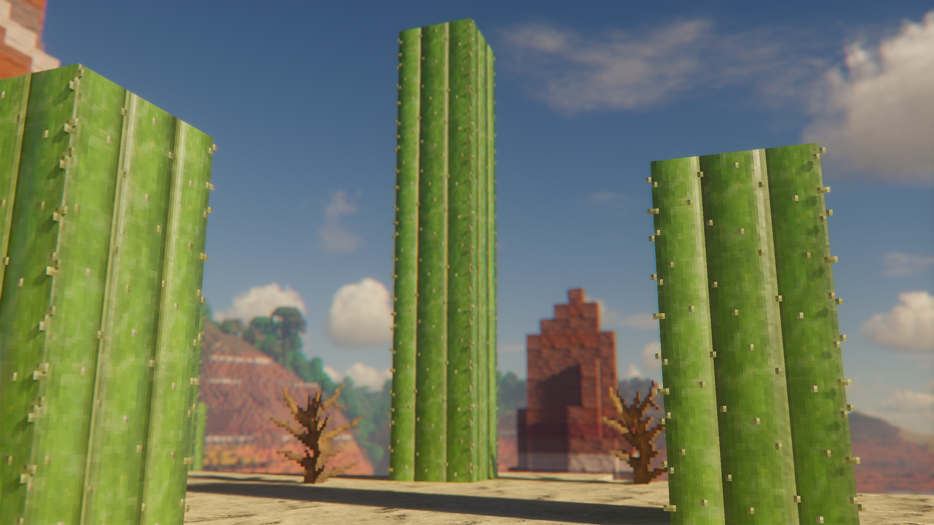 Cactus