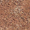 Thumbnail Vanilla DIrt