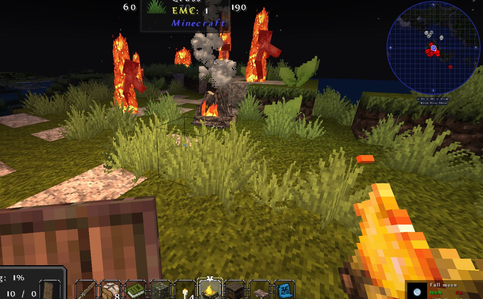 Certain monsters around camp fire are lit on fire once within a certain distance of camp fire