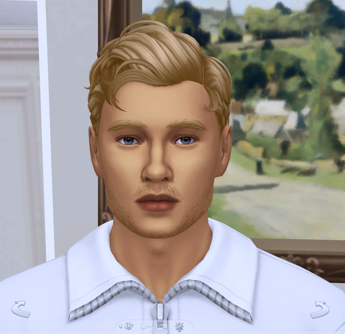pix-sims-dump-the-sims-4-sims-households-curseforge