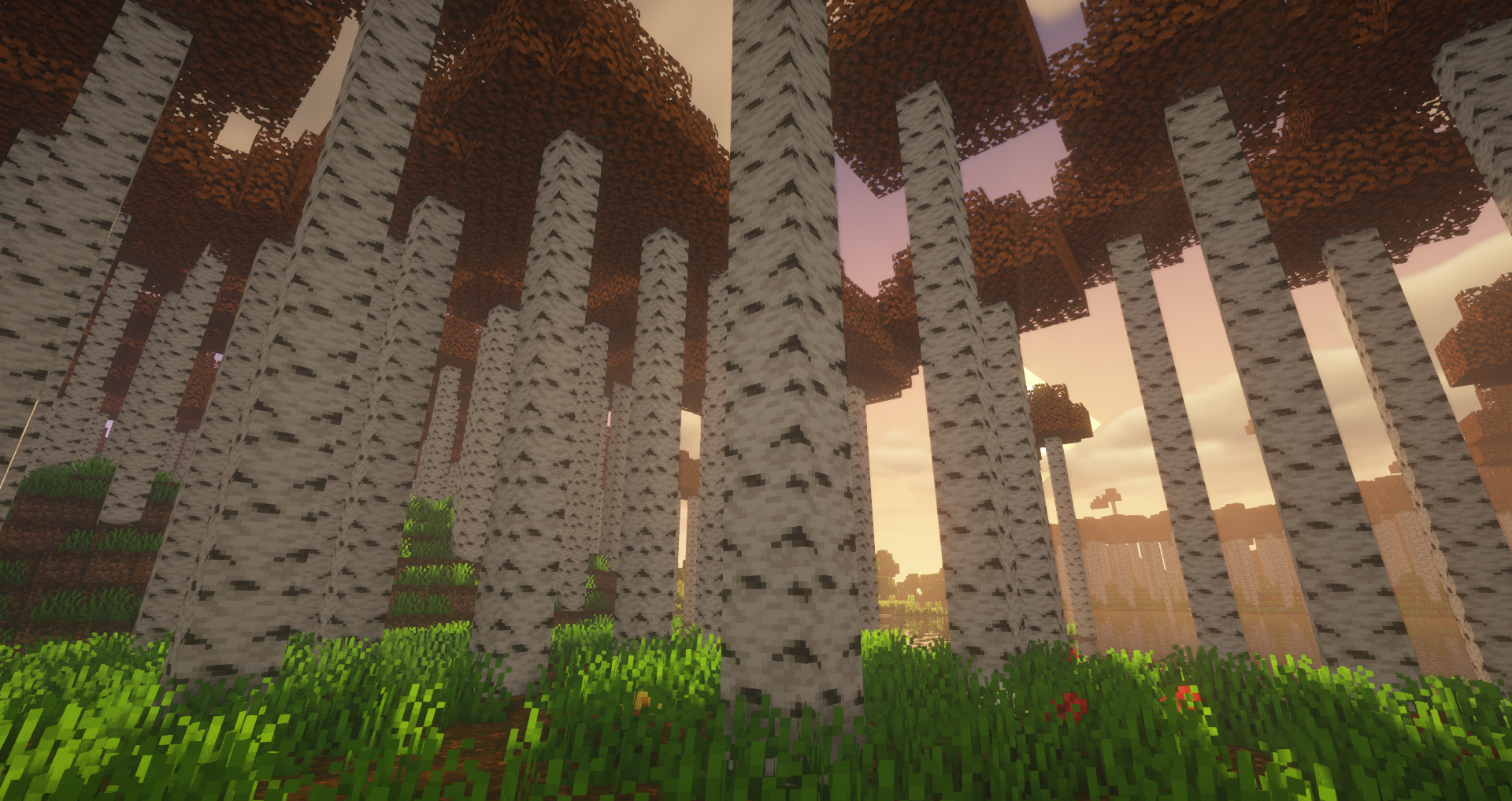 Here we can see a Krisalibab-Forest