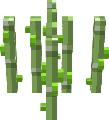 sugar cane