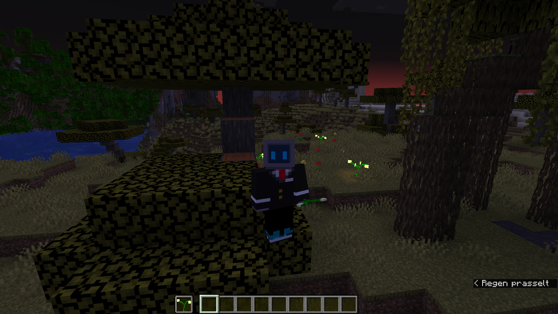 Skyplants in the night