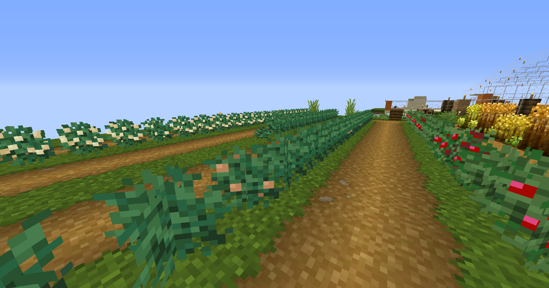 Who said berries were useless?