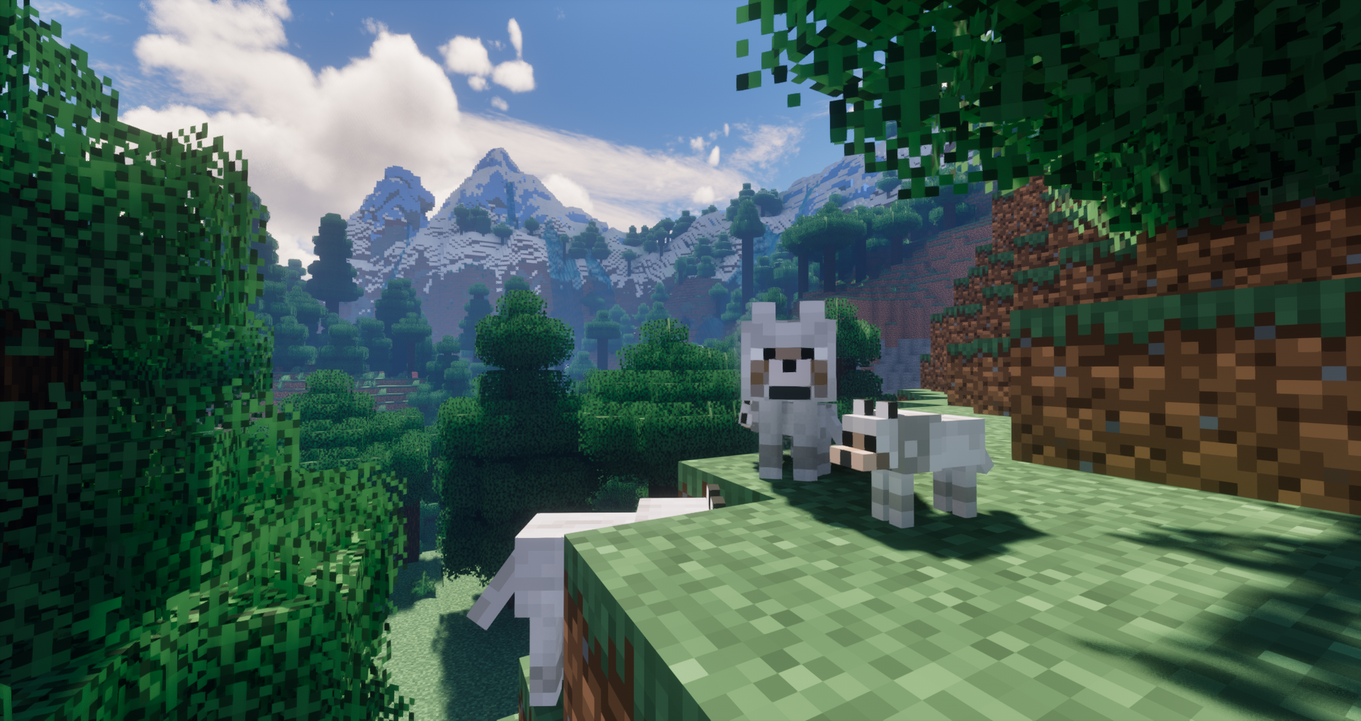 Wolves and Pups