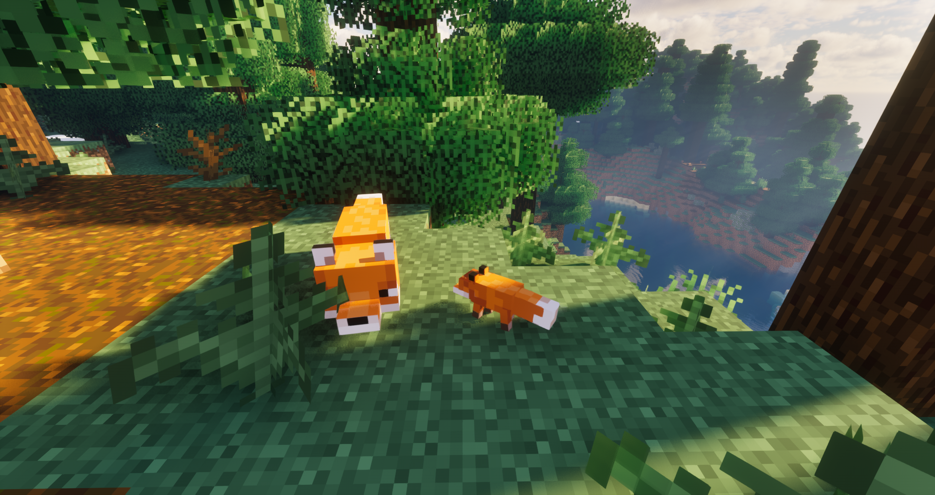 Foxes and Cubs