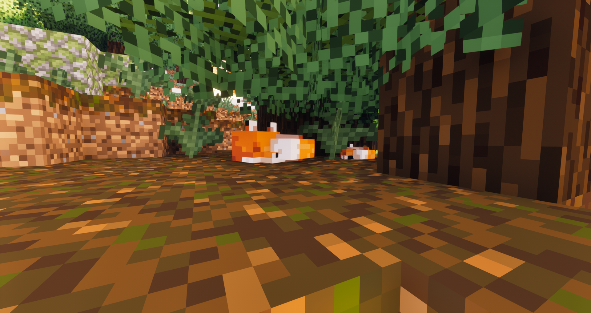Sleeping Foxes