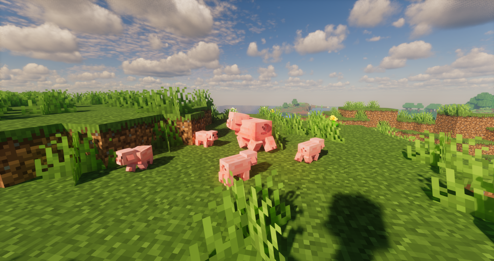 Pigs and Piglets