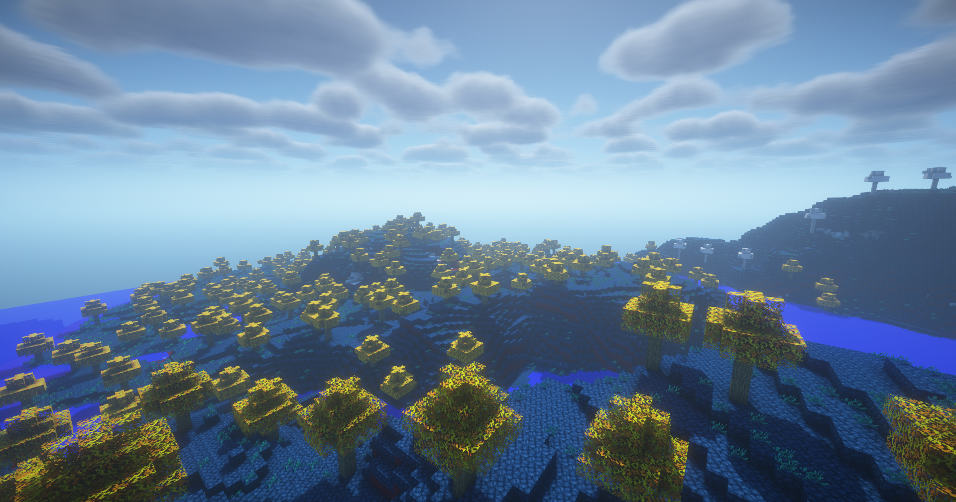 Aether Forest Biome