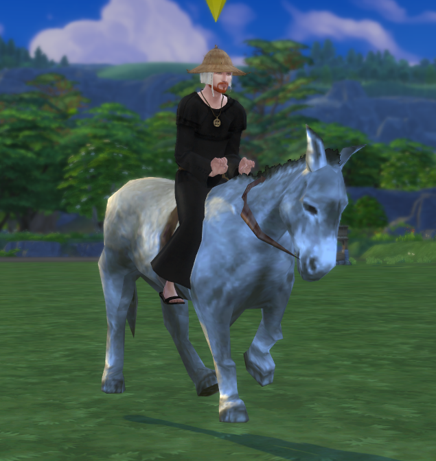 Dapple the Donkey - instead of a bike - The Sims 4 Build / Buy - CurseForge