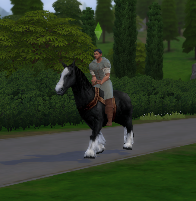 Rosinante - a peasant's horse (instead of a bike) - The Sims 4 Build ...