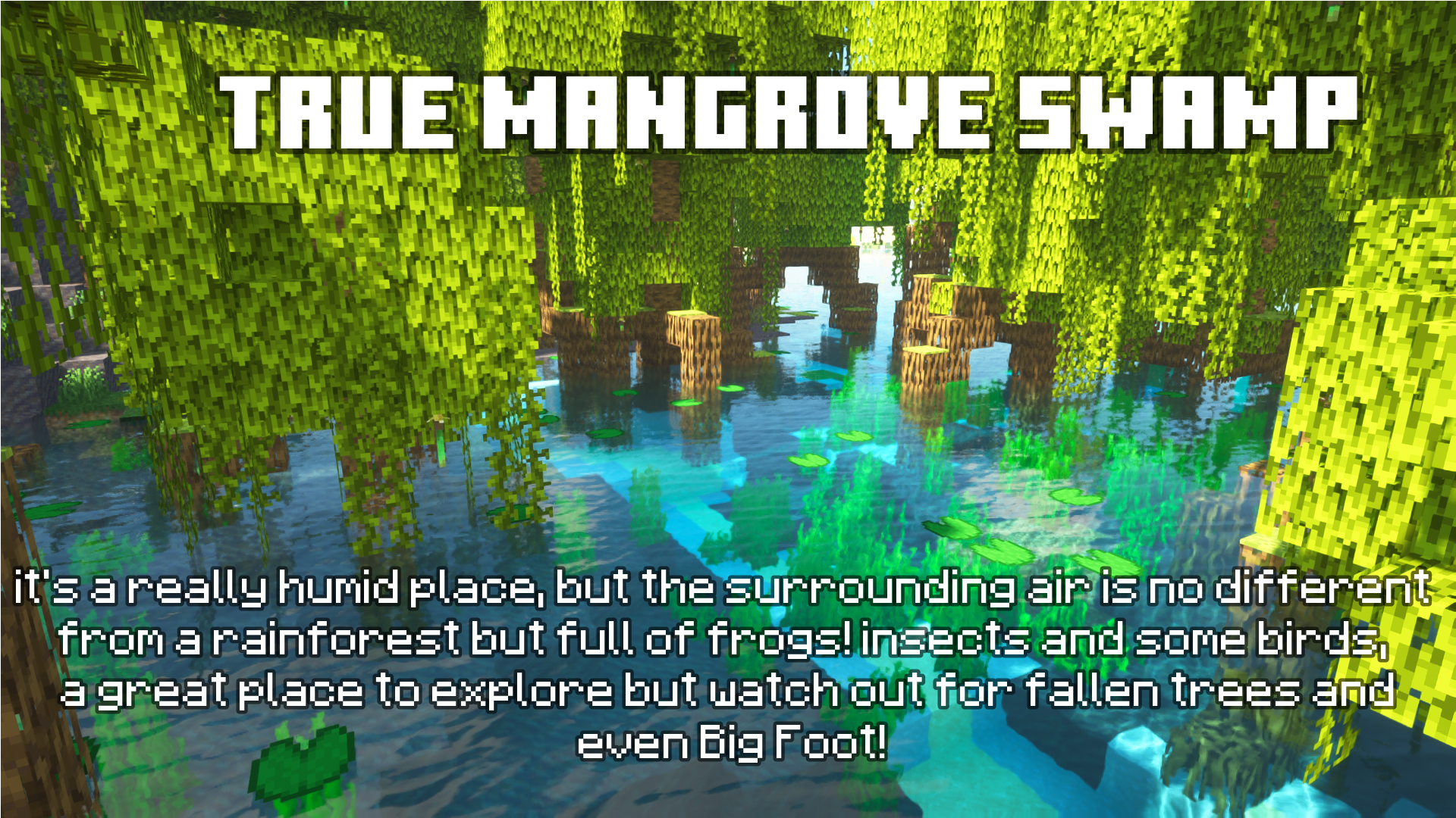 swamp