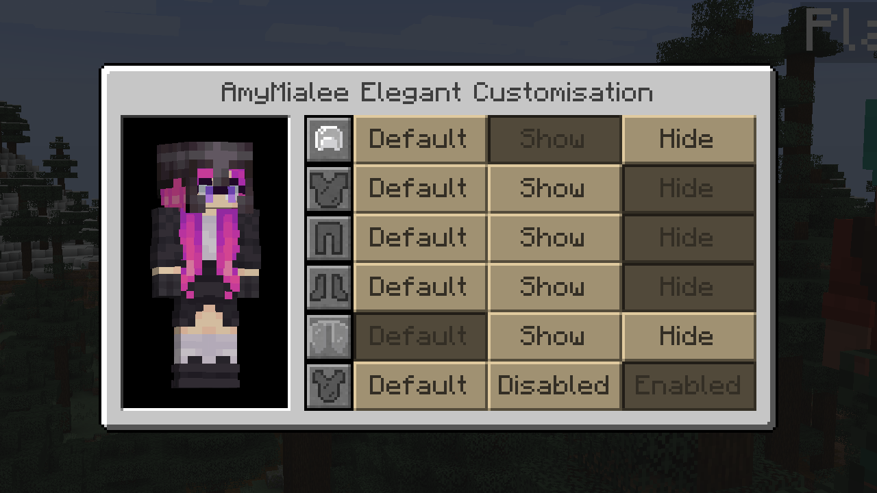 Customisation Menu