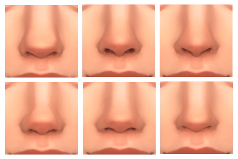 Loulicorn - Nose Presets
