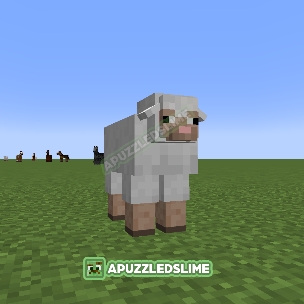 Sheep