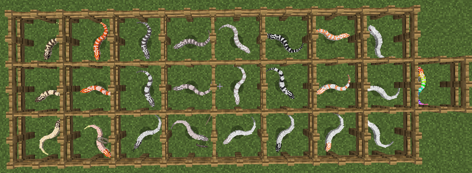 Old Hognose Variants