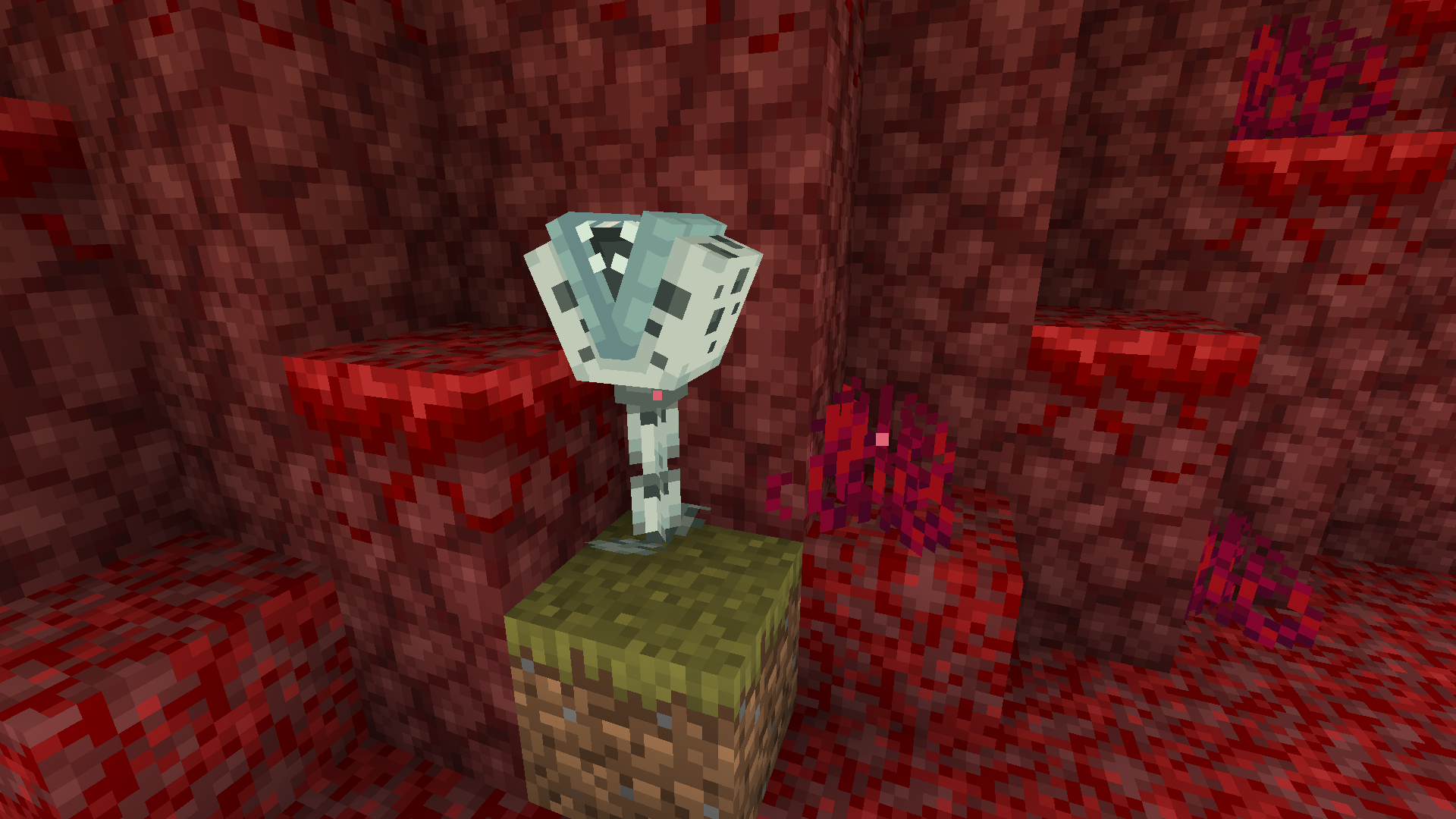 Piranha Plants in the Nether