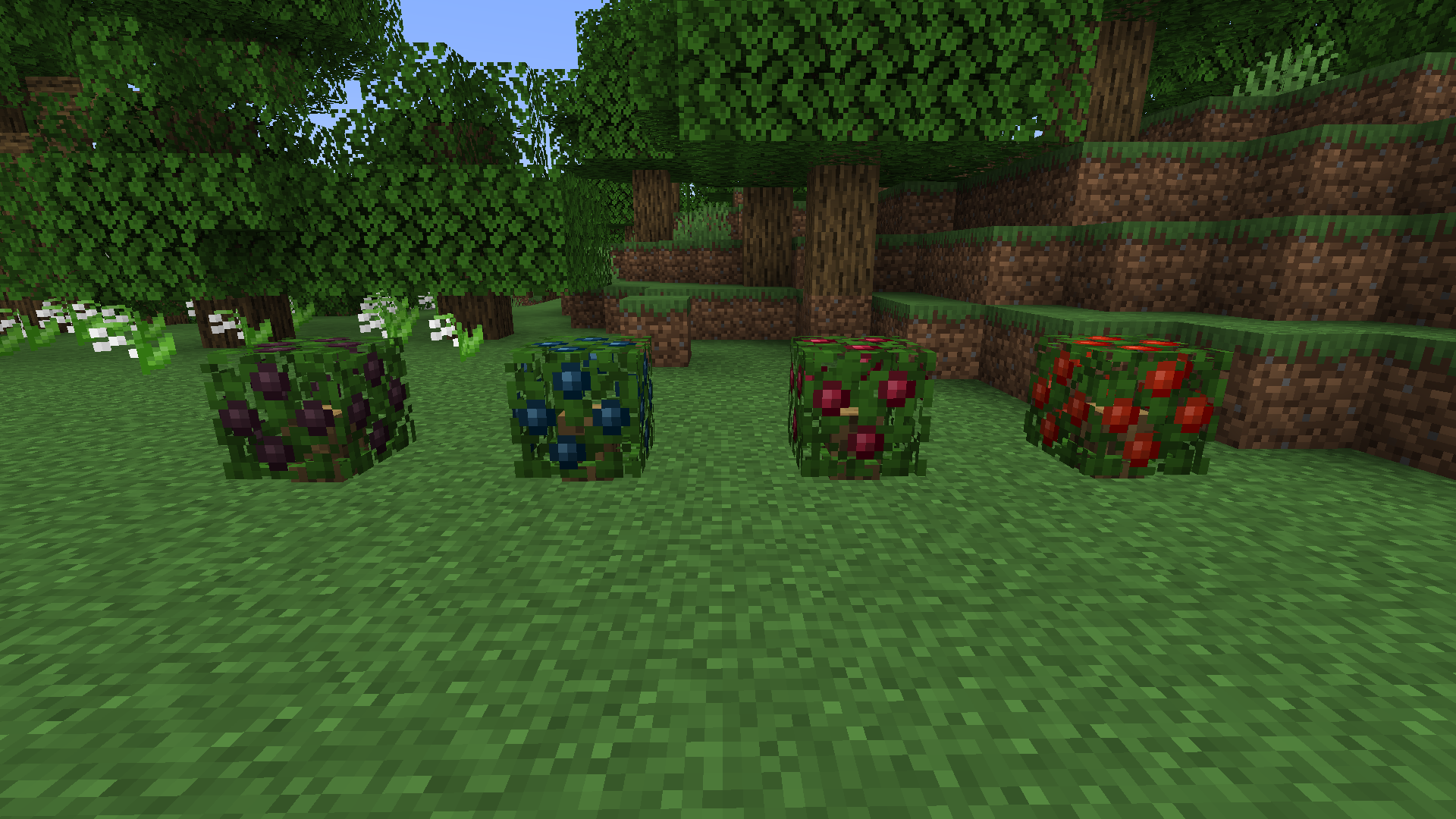 Berry Bush Variants