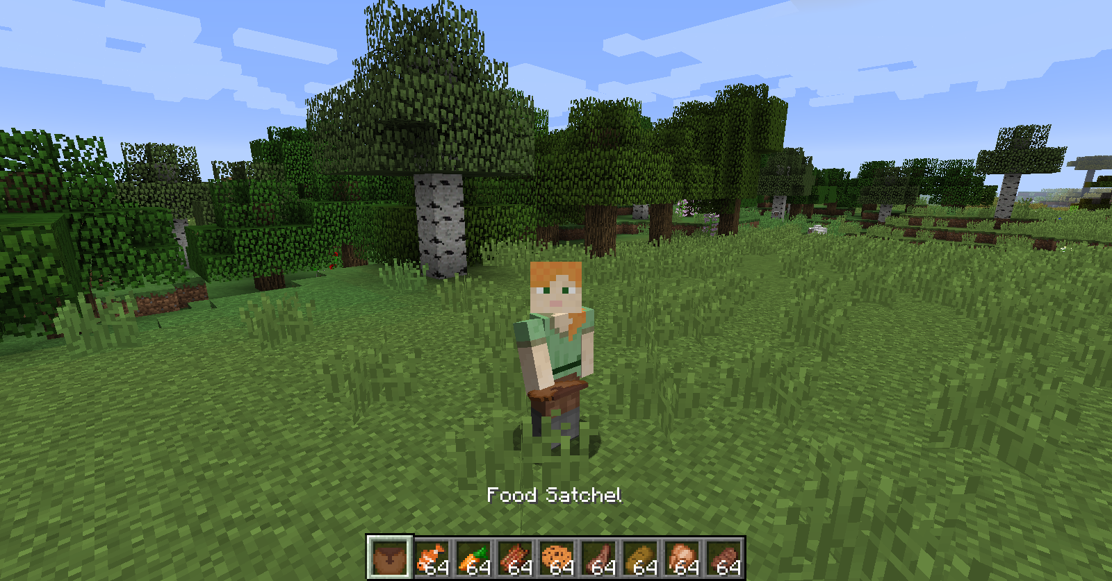 Quantity Satchels Screenshots Minecraft Mods