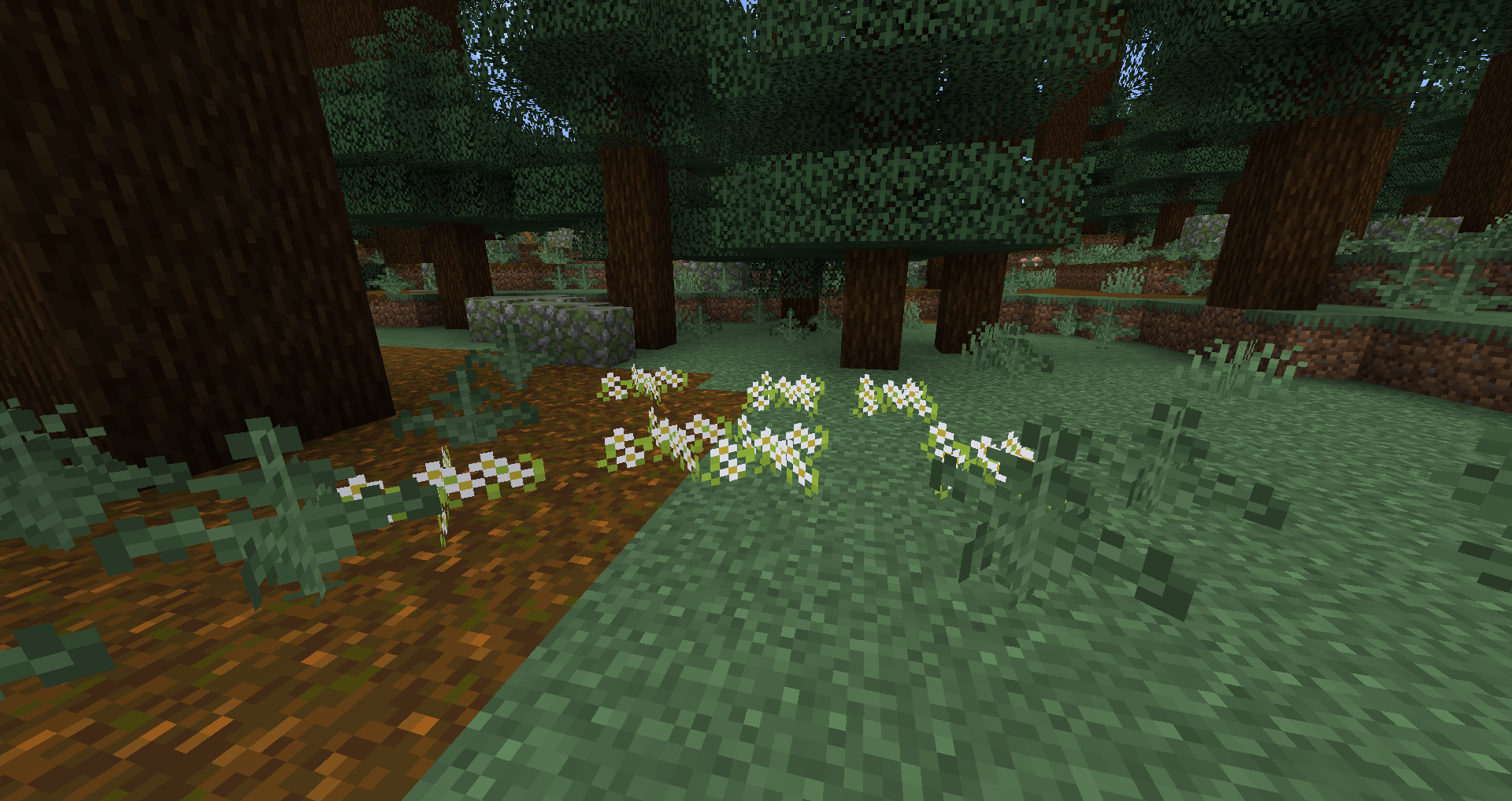 screenshot thumbnail