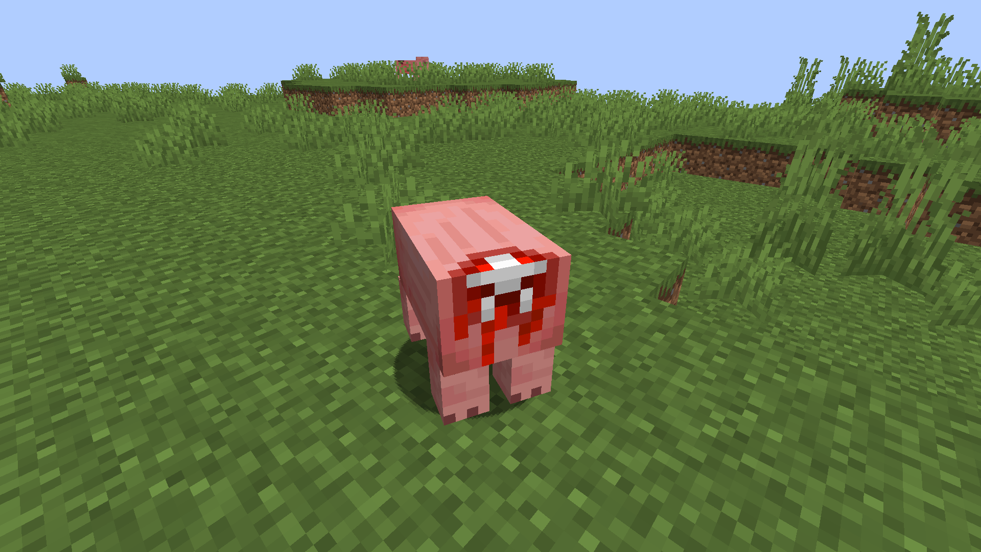 Headless Pig