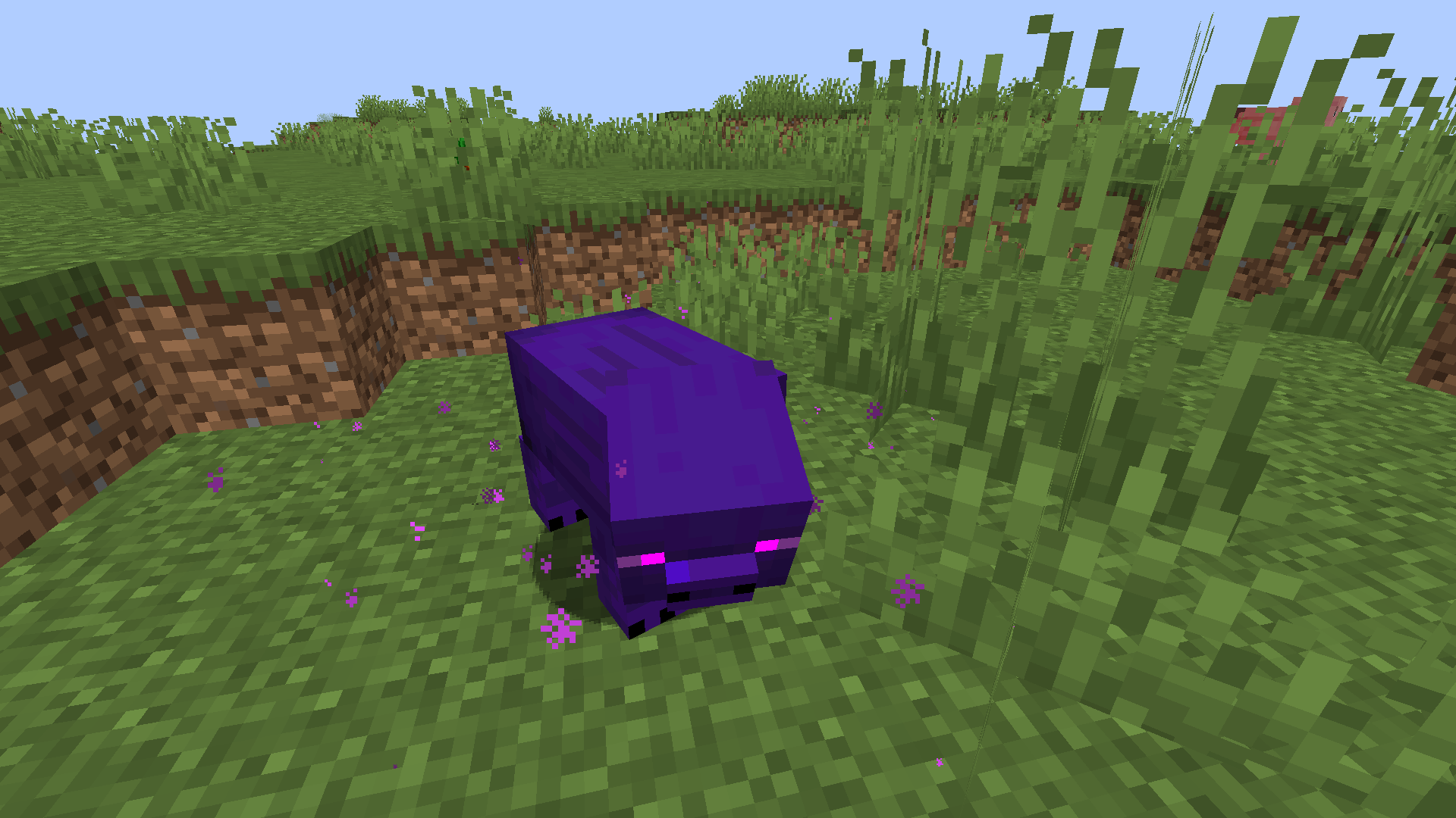 Ender Pig