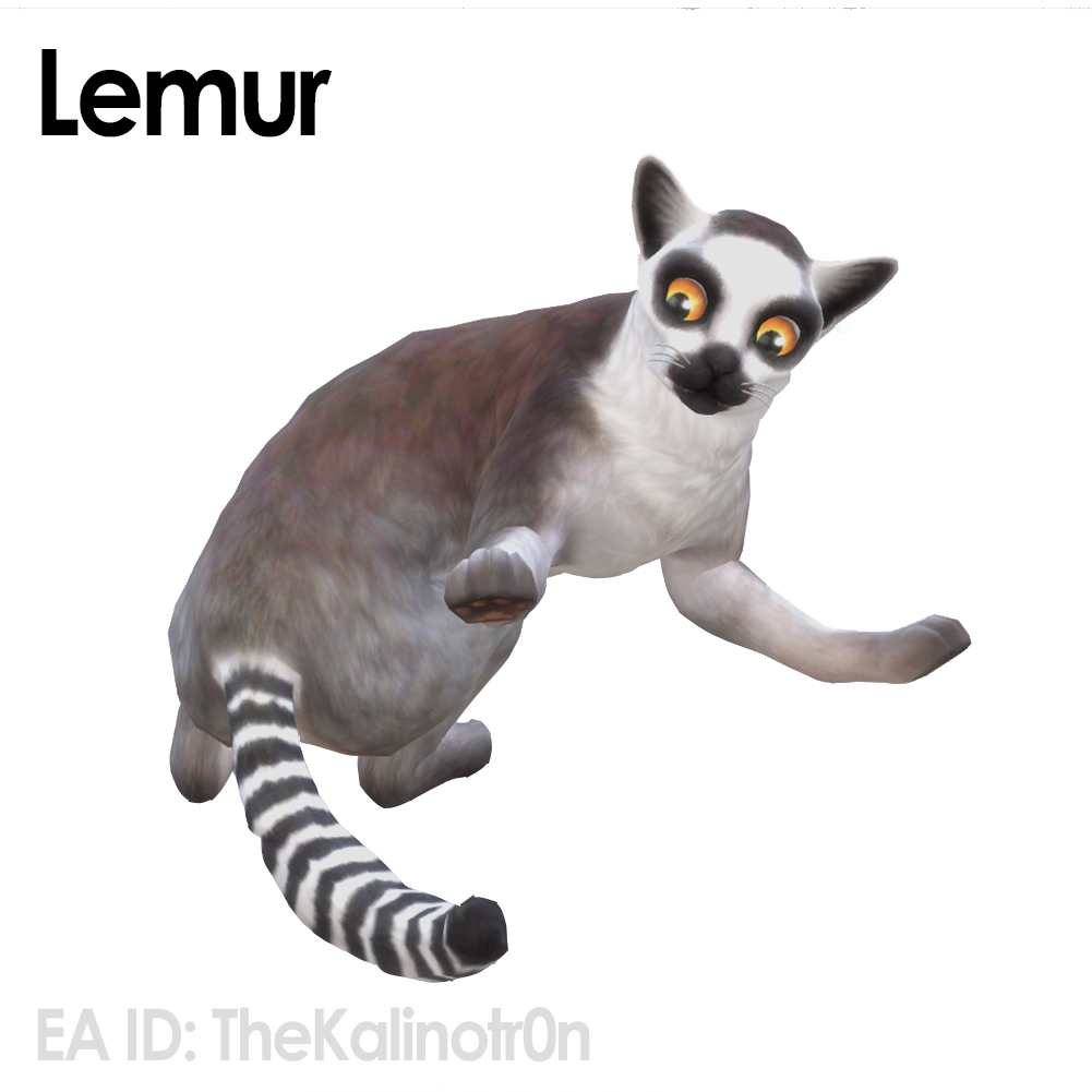 Lemur