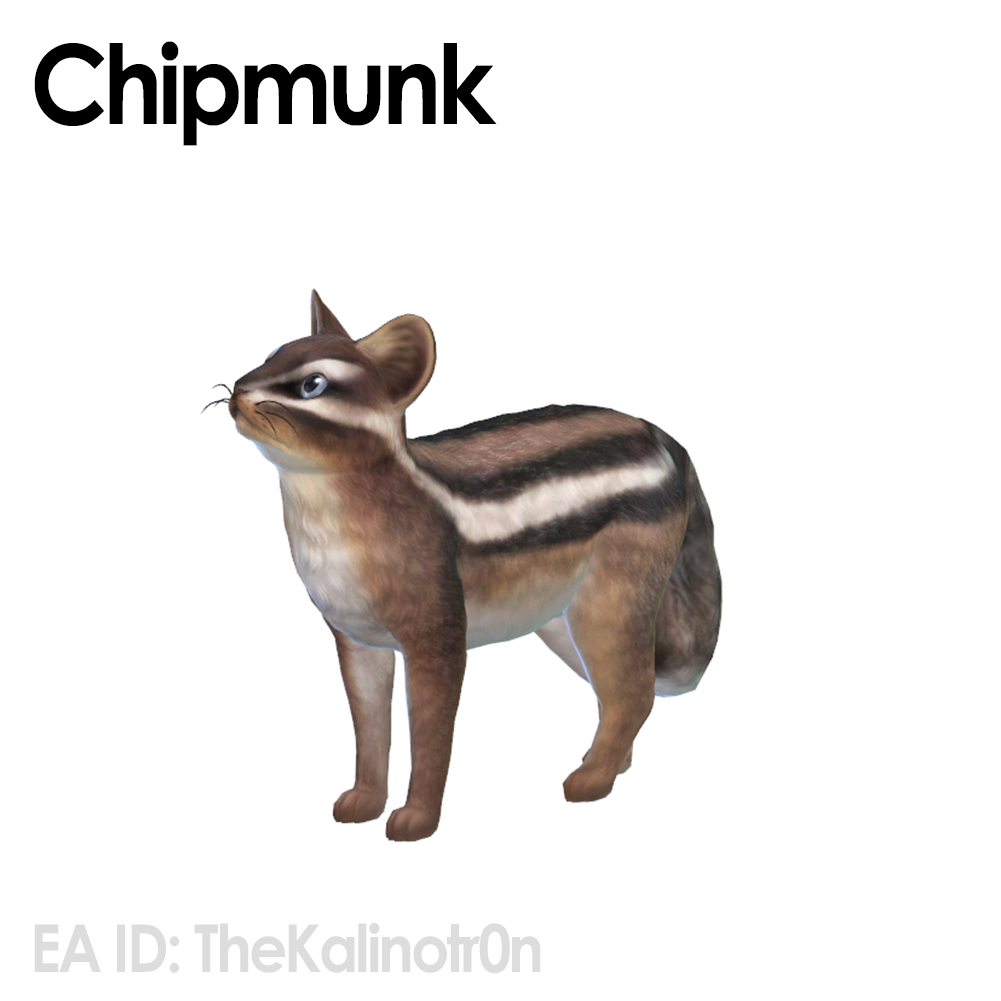 Chipmunk