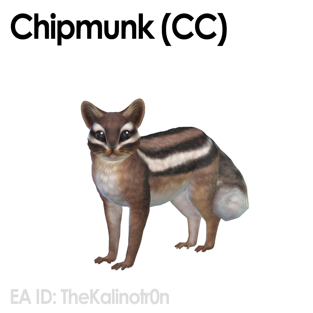 Chipmunk with my CC