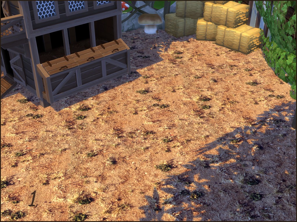 A dried up prairie 1