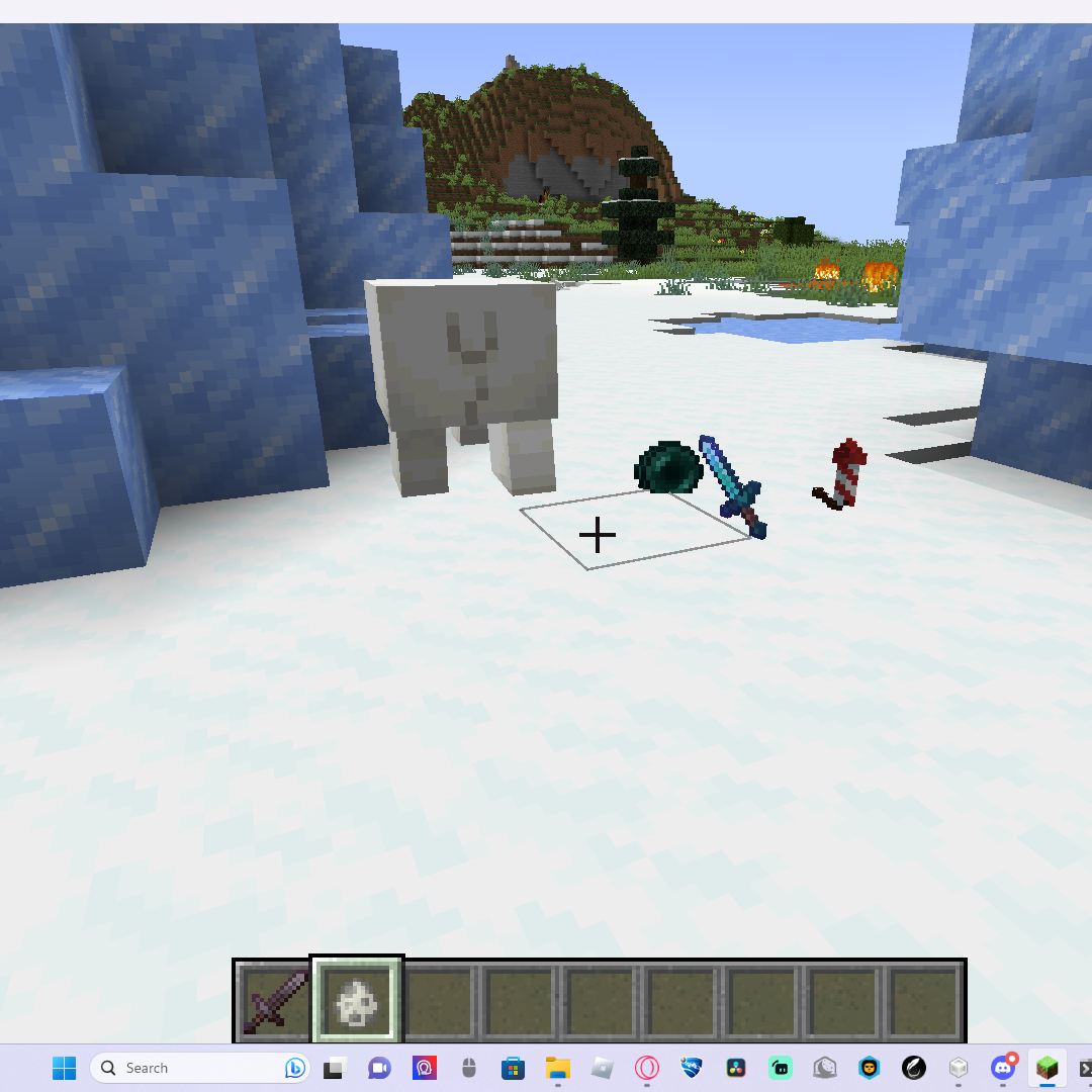 The polar bears after they were killed