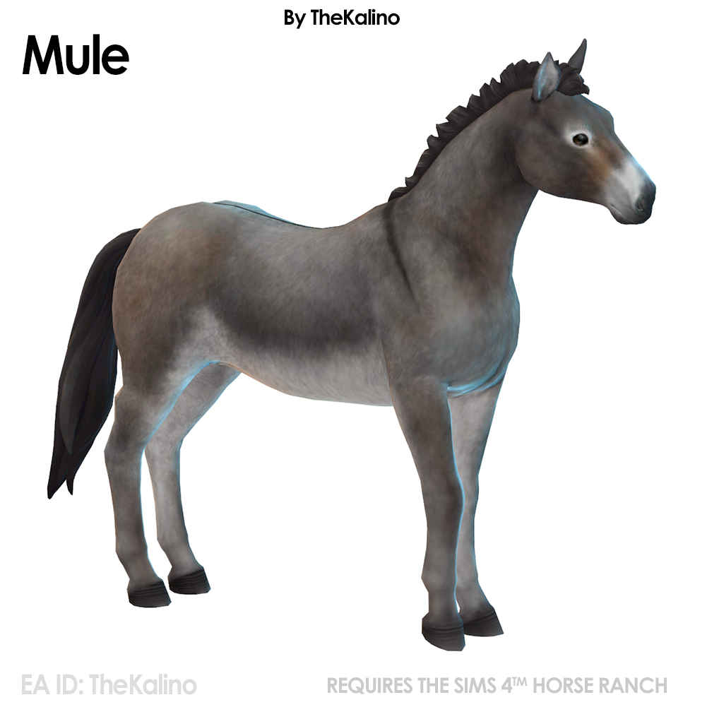 Mule