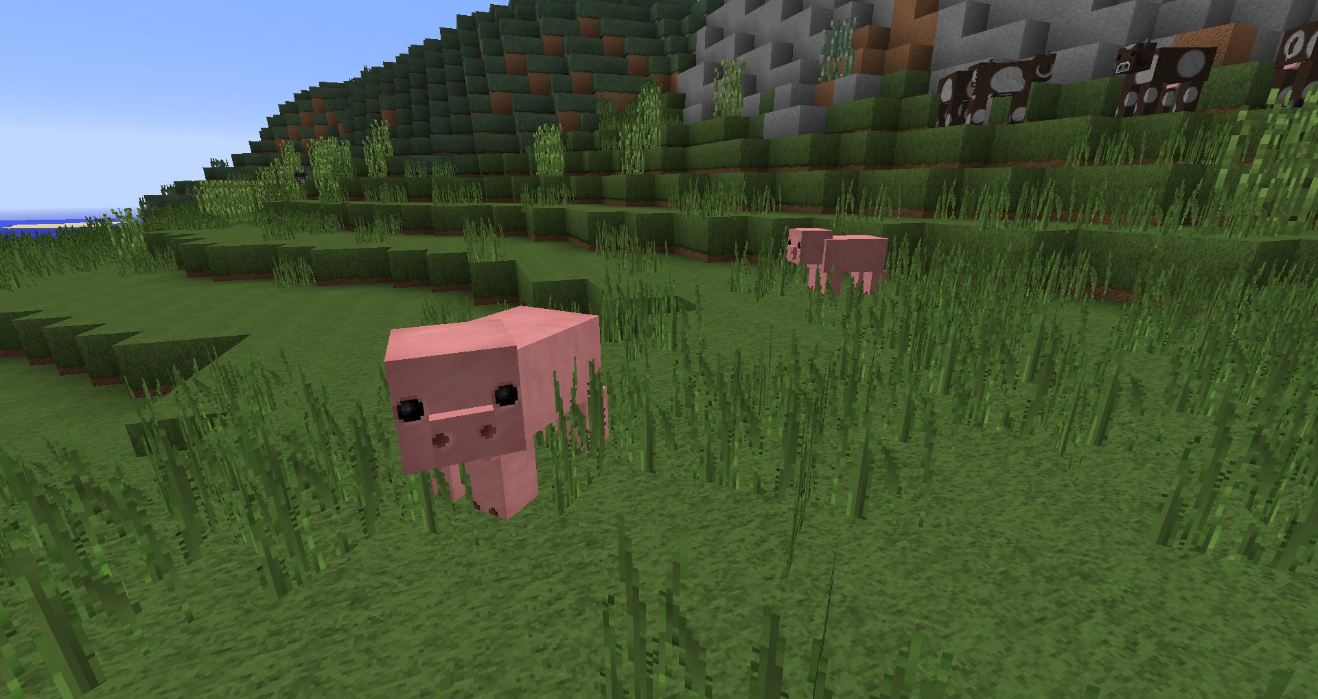 PIGS!