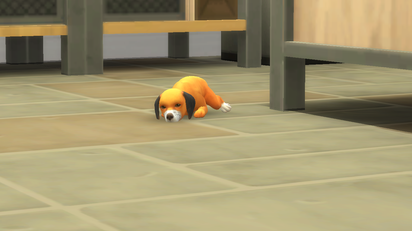 sims 4 add dog to household