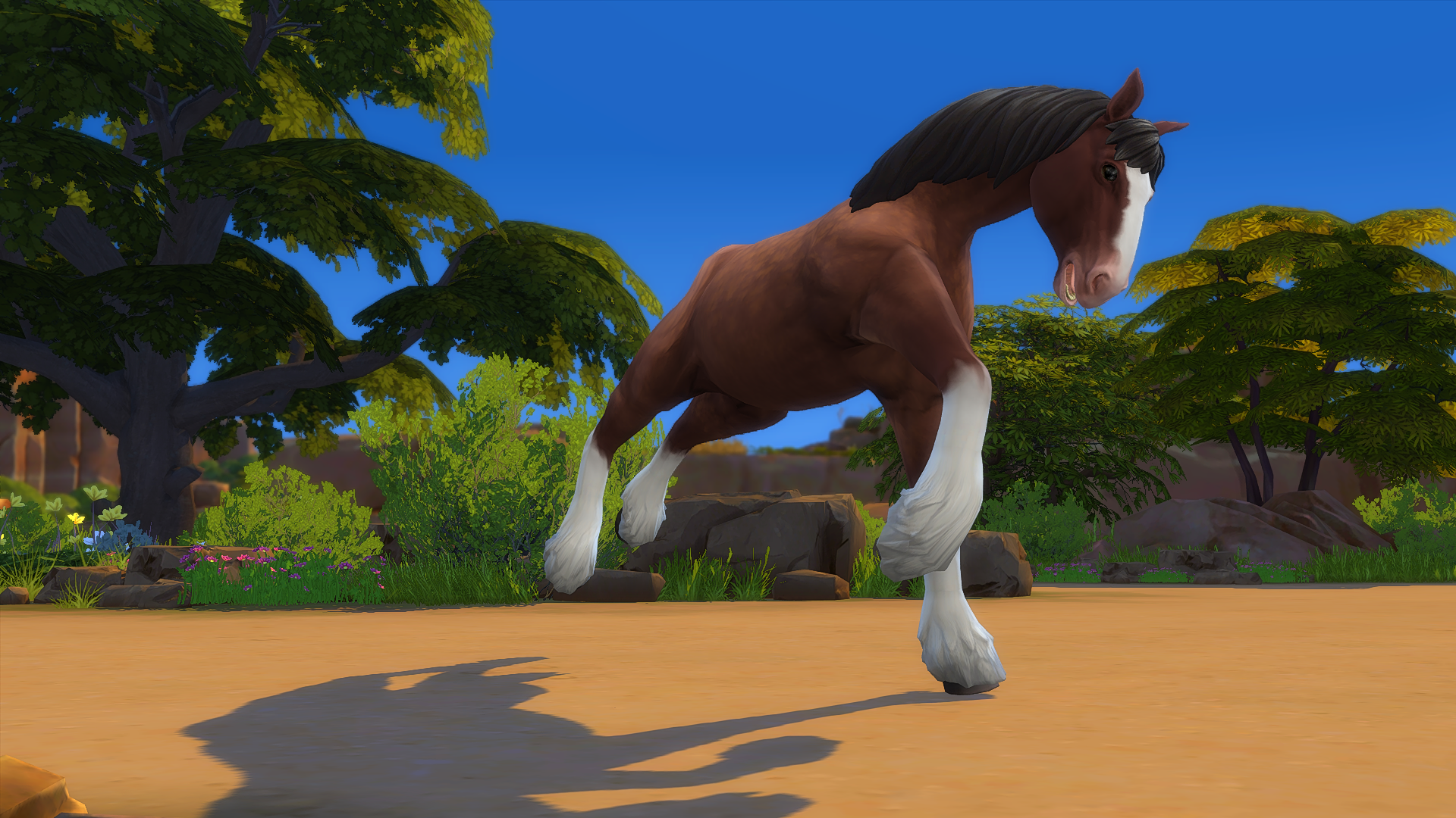 [F] Horse Single Posepack