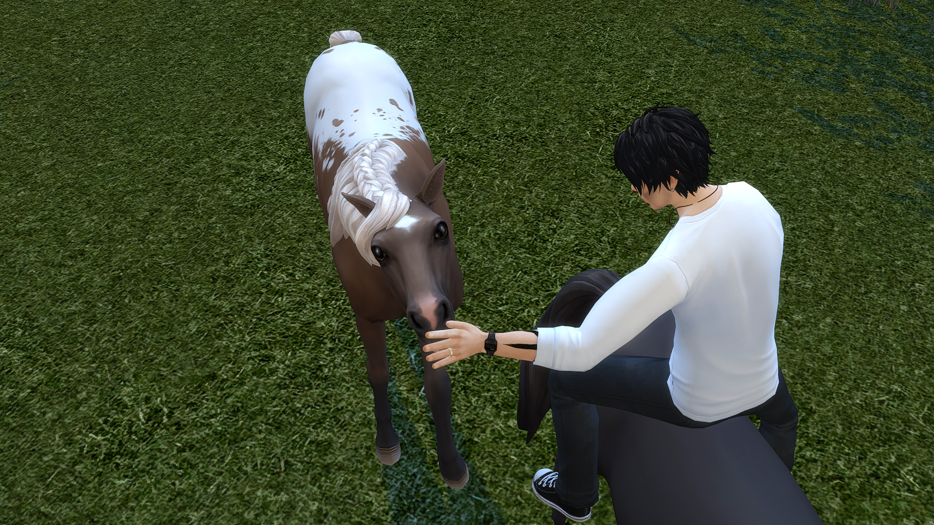 [F] Trust me my Horse Posepack