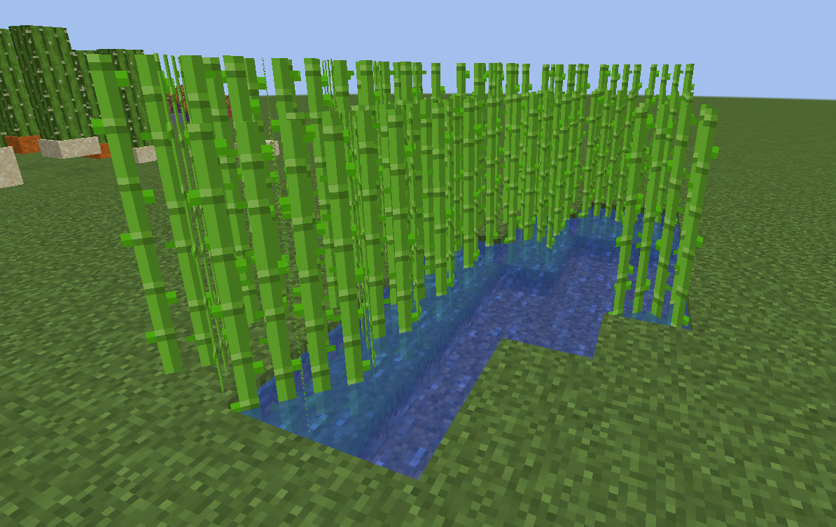 Sugar Cane and Cactus on Slabs!