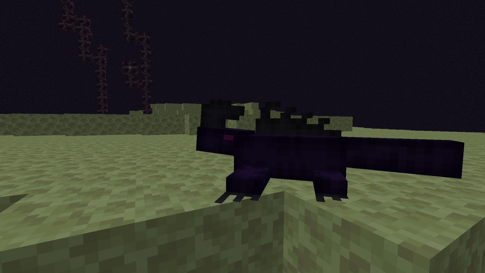 The Enderlizard