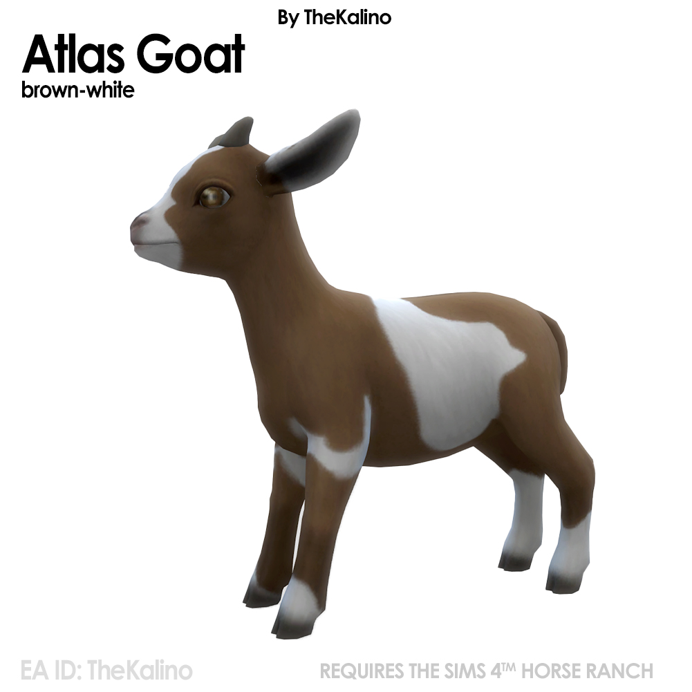 Atlas Goat