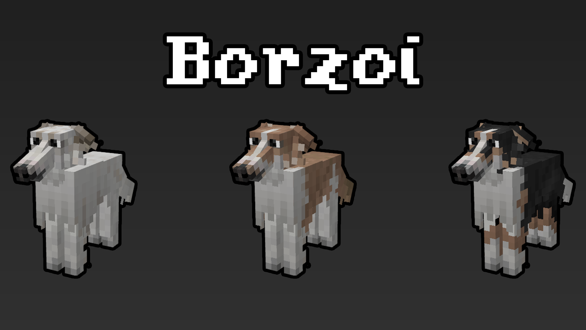 Borzoi