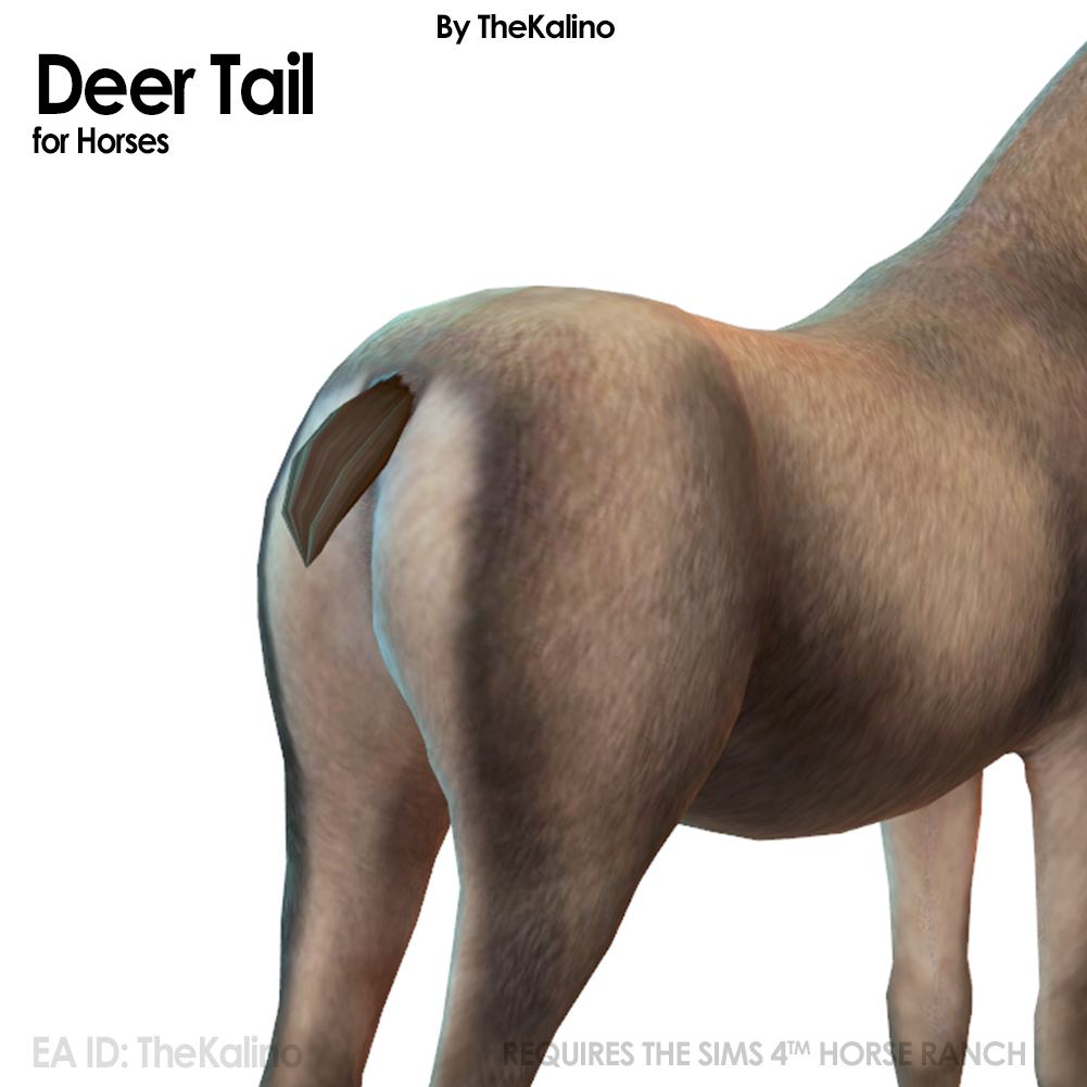 Deer Tail