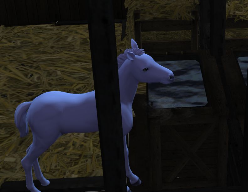  WFS Big Barn Add-Ons for Horses