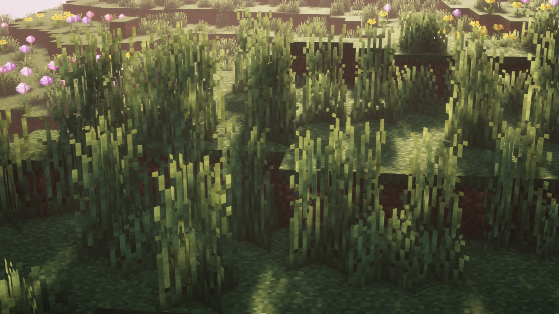 screenshot thumbnail