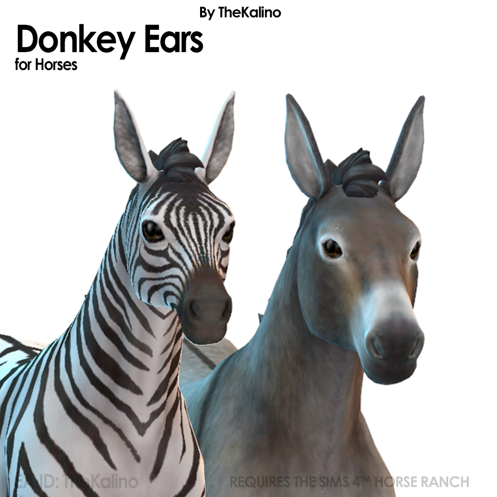 Donkey Ears