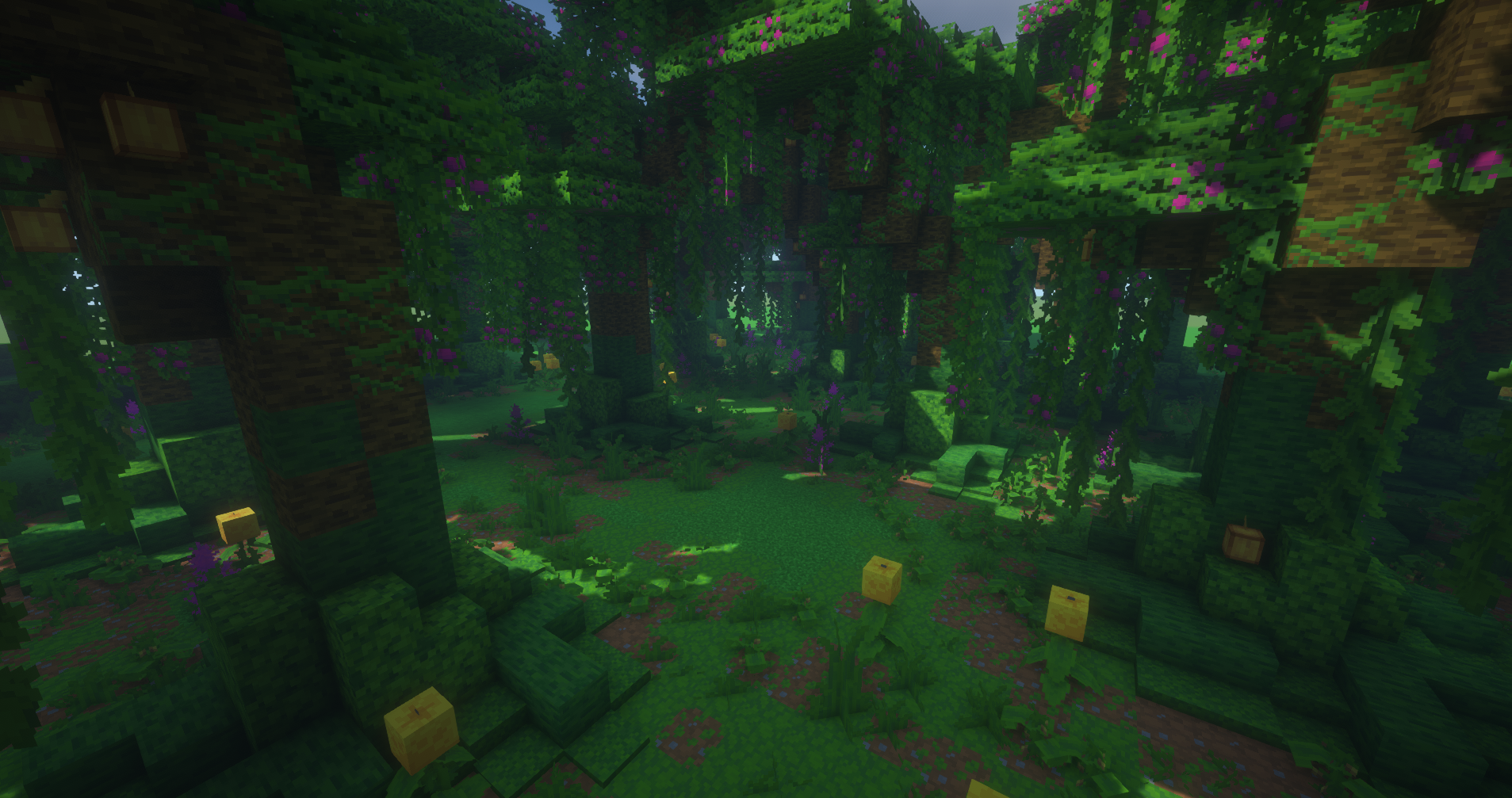 Jungle forrest example 1