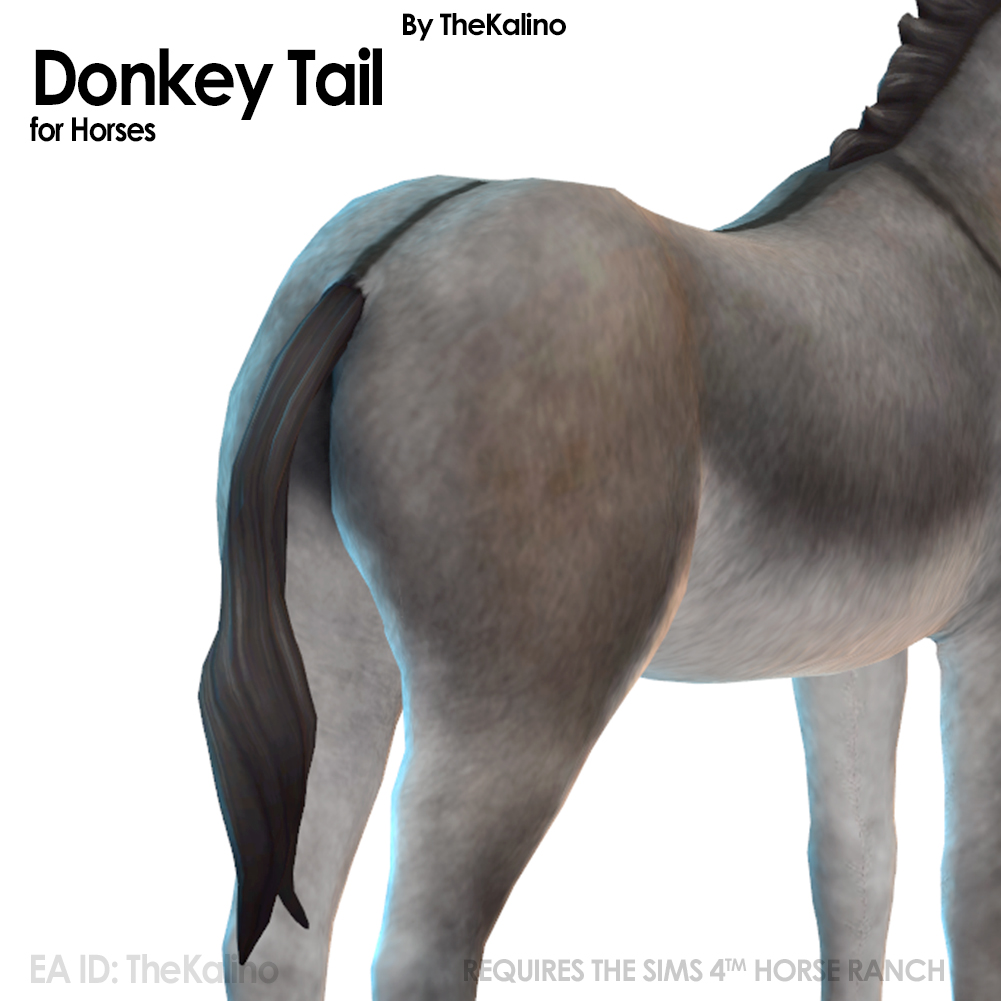 Donkey Tail