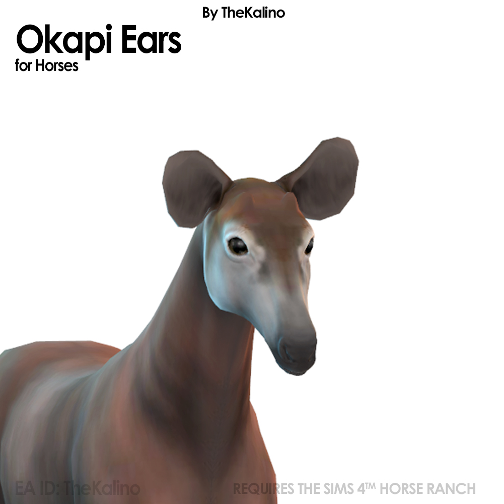 Okapi Ears