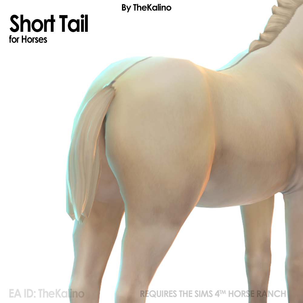 Short Tail